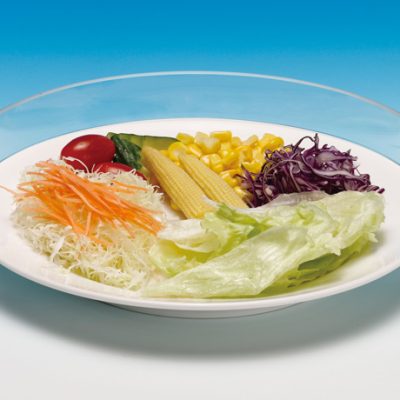 Clear Plate Guard