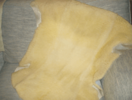 Medical Sheepskin